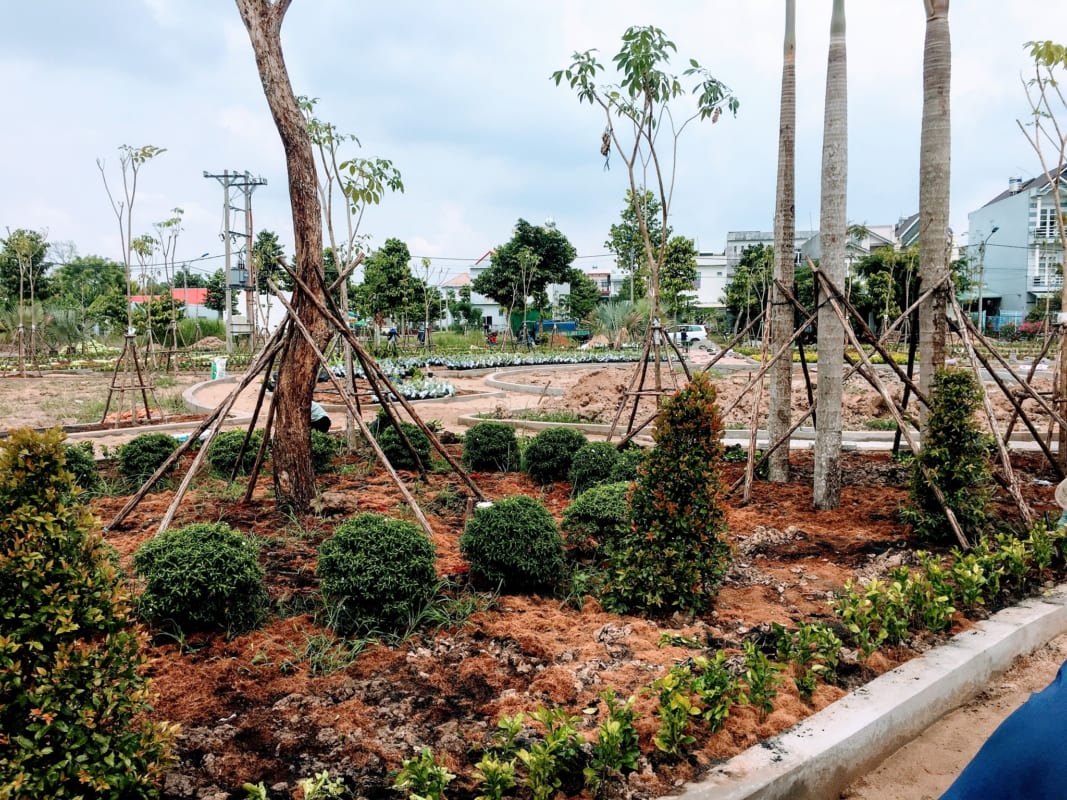 Dịch vụ thi công cây xanh công trình tại Quảng Ngãi