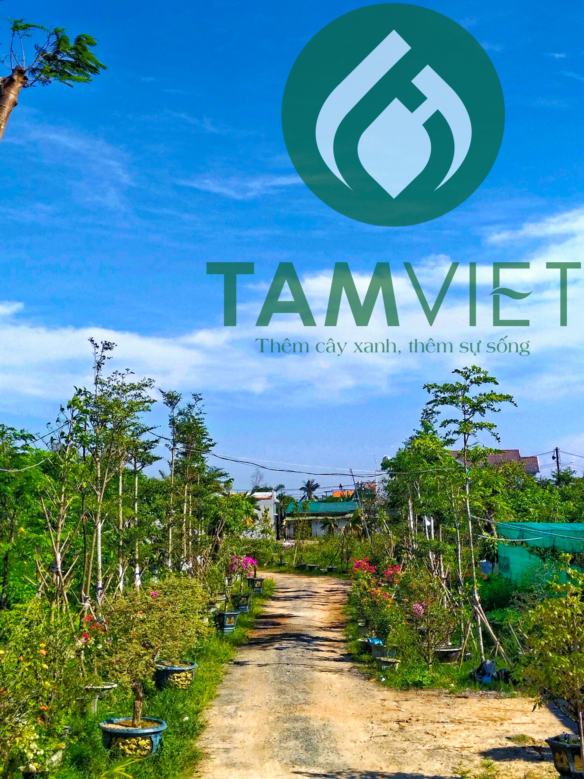 Vườn ươm cây xanh Tâm Việt