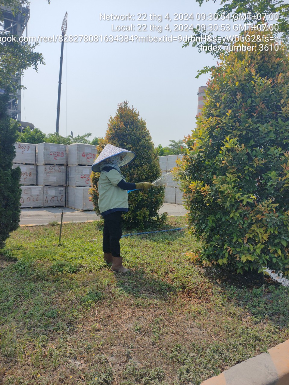 Dịch vụ chăm sóc công viên, bảo dưỡng cây xanh công ty tại KKT Dung Quất