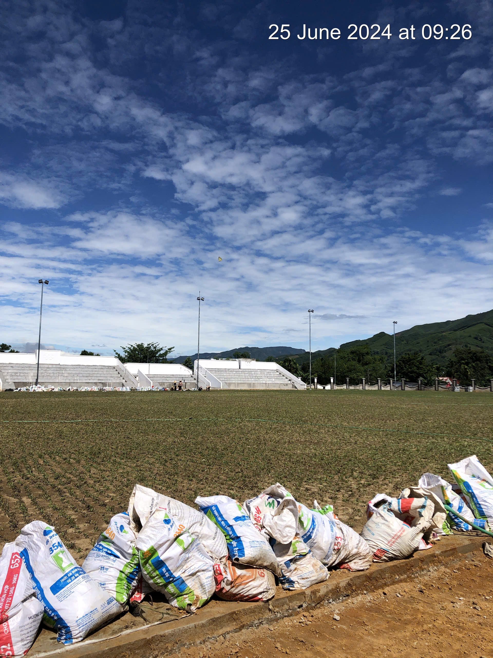 Trồng cây xanh và thảm cỏ sân bóng tại Sân vận động huyện Ba Tơ 