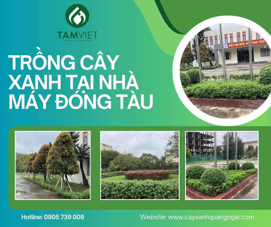  Dự án trồng và chăm sóc cây Nhà máy đóng tàu