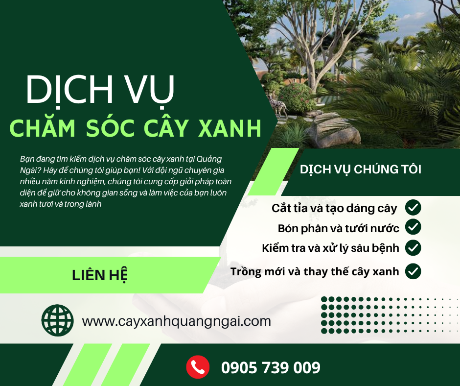 Chăm sóc cây xanh tại Quảng Ngãi
