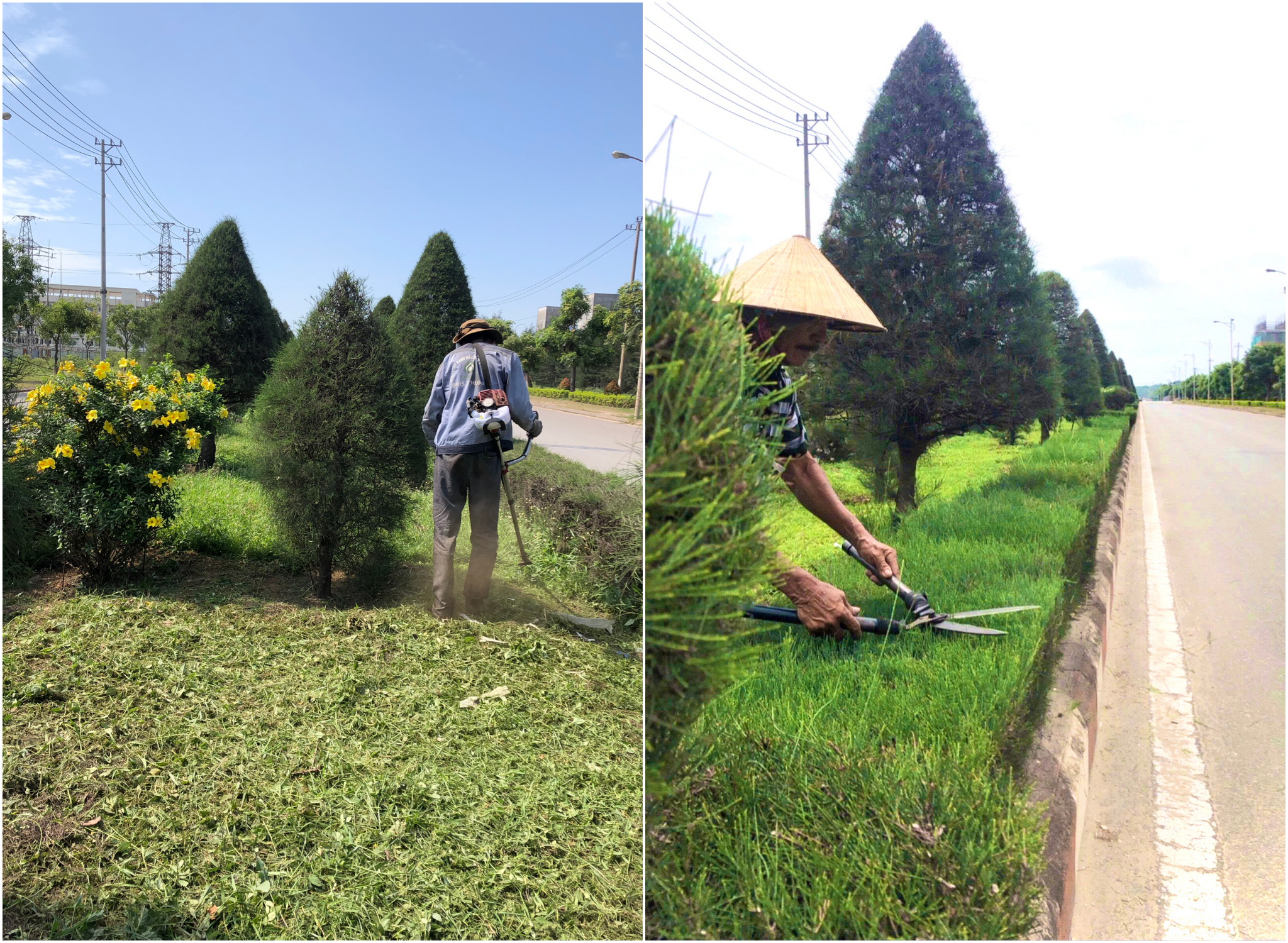 Các hạng mục trong dịch vụ bảo dưỡng cảnh quan của Tâm Việt