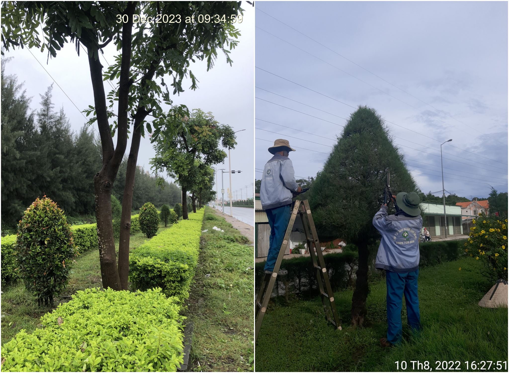 Dự án chăm sóc, bảo dưỡng cảnh quan - Chủ đầu tư Tập Đoàn Hòa Phát