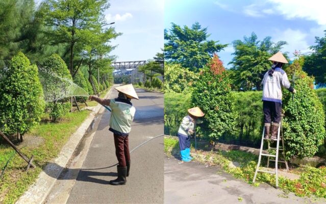 chăm sóc cây xanh