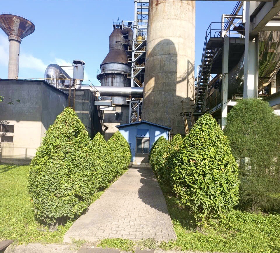 Chăm sóc cây xanh bảo dưỡng cảnh quan giúp cây phát triển ổn định, nâng cao hiệu quả điều hoà không khí