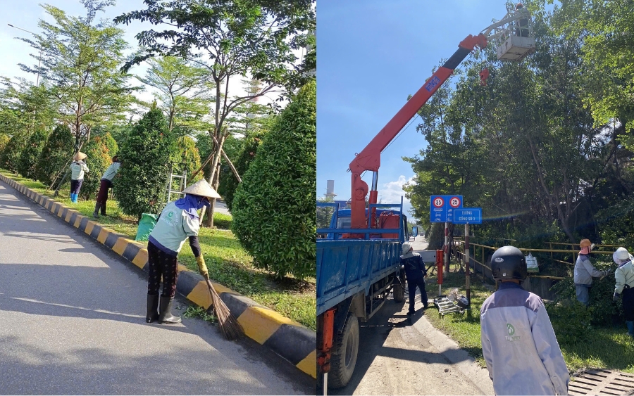 Chăm sóc cây xanh thường xuyên