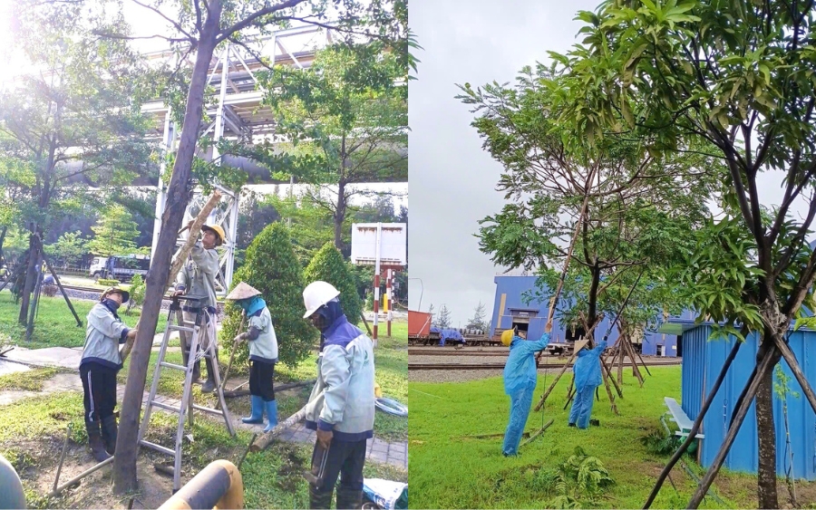 Theo dõi và báo cáo tiến độ, khối lượng công việc định kỳ