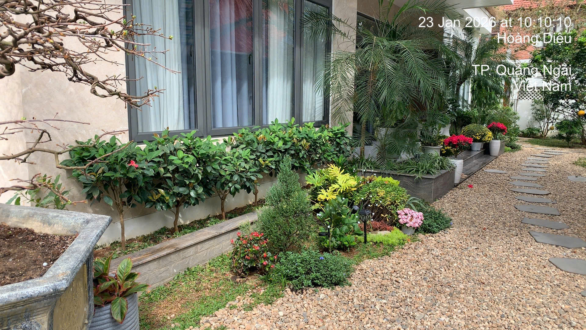 Cây xanh Tâm Việt giúp khách hàng xây dựng và duy trì không gian xanh hiệu quả, bền vững với chi phí tối ưu