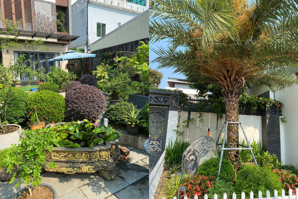 Thi công hạ tầng & tiểu cảnh