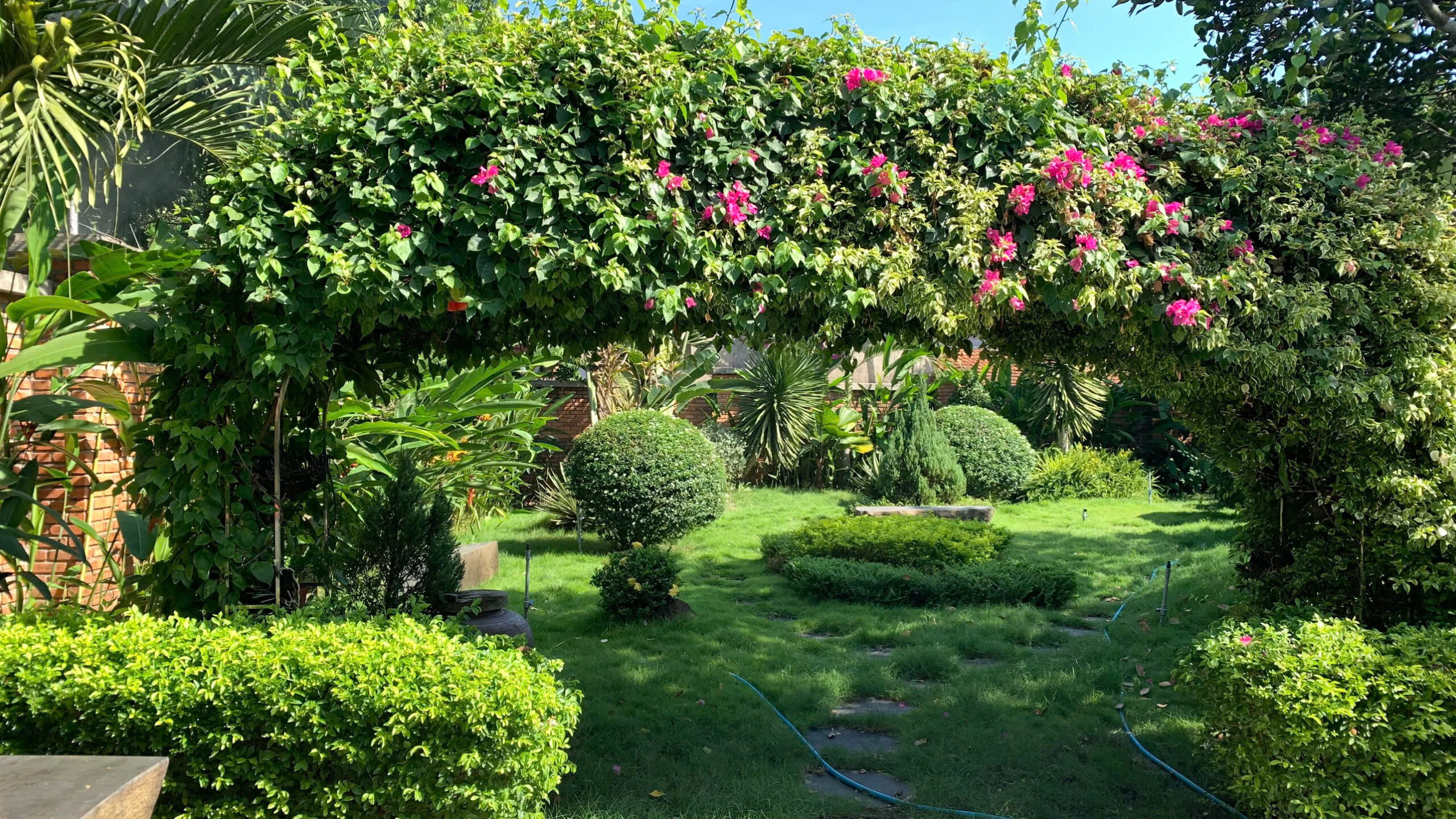 Trồng cây xanh, thảm cỏ