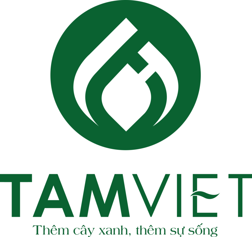 Cây xanh và cảnh quan Tâm Việt Quảng Ngãi