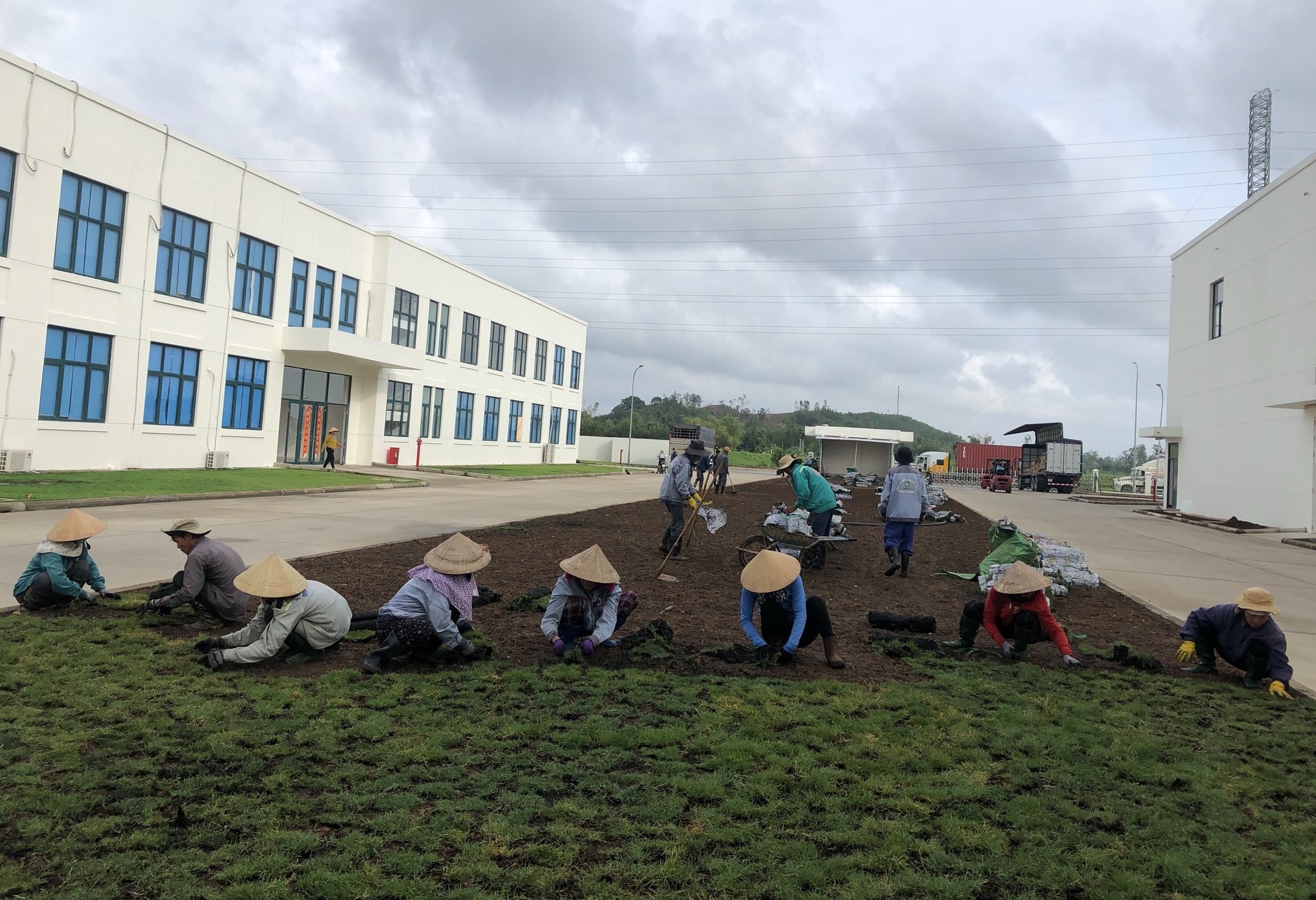 Thi công trồng cây và thảm cỏ công ty Happy Furniture (KCN VSIP)