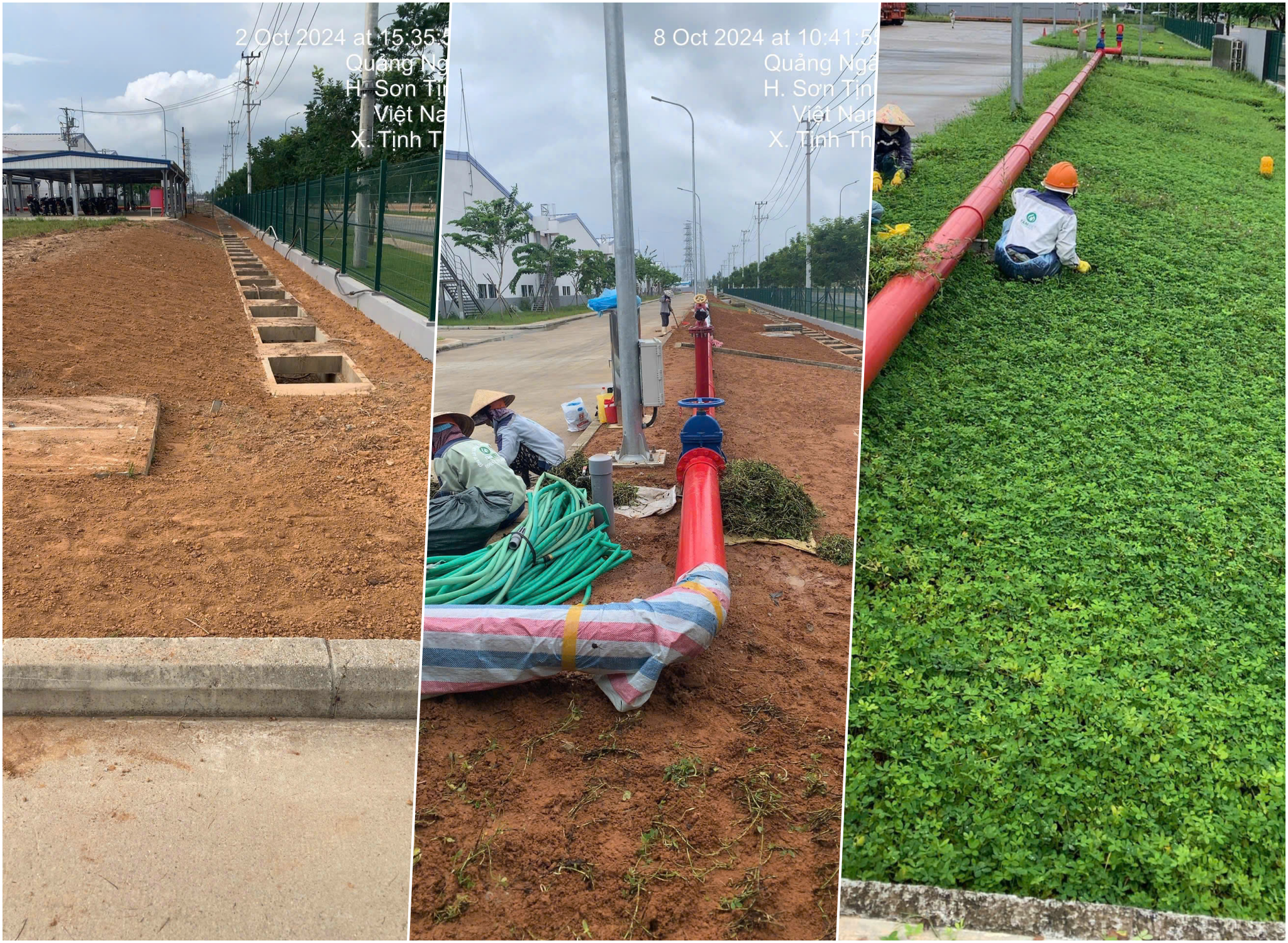 Quy trình thiết kế thi công cảnh quan cây xanh