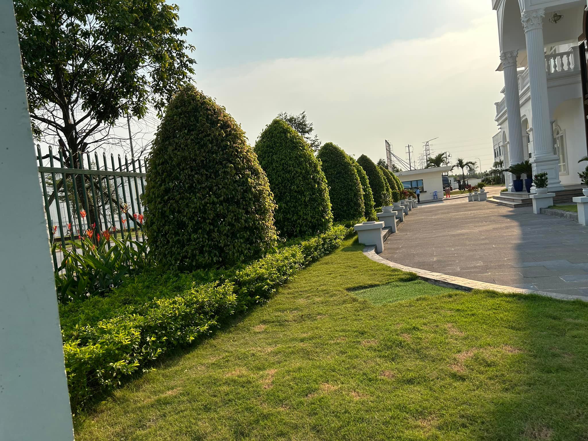 Trồng cây xanh giúp hạn chế tiếng ồn và ngăn bụi lan