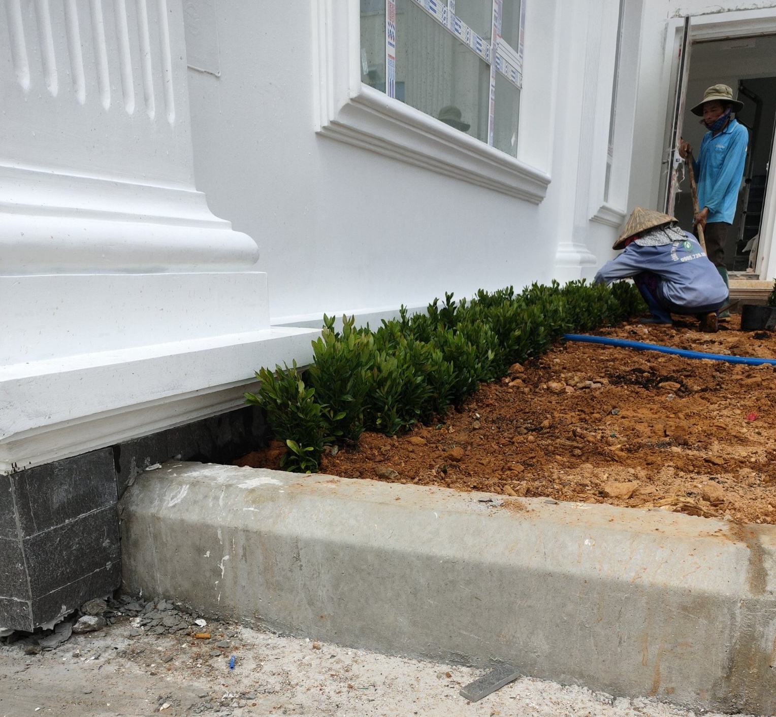 Tiến hành xử lý nền đất tạo bề mặt sạch sẽ và bằng phẳng để trồng cây