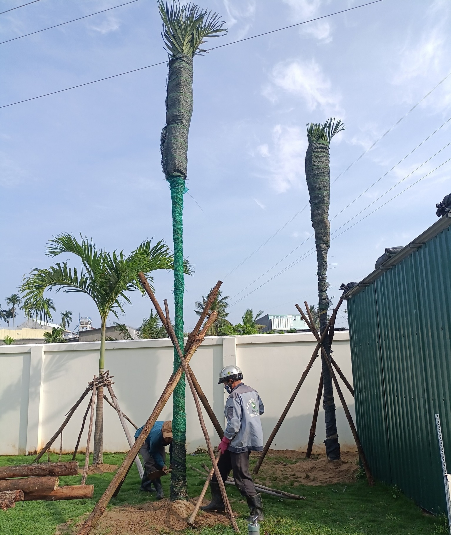 Thi công trồng cây xanh và cố định cây theo đúng quy trình kỹ thuật