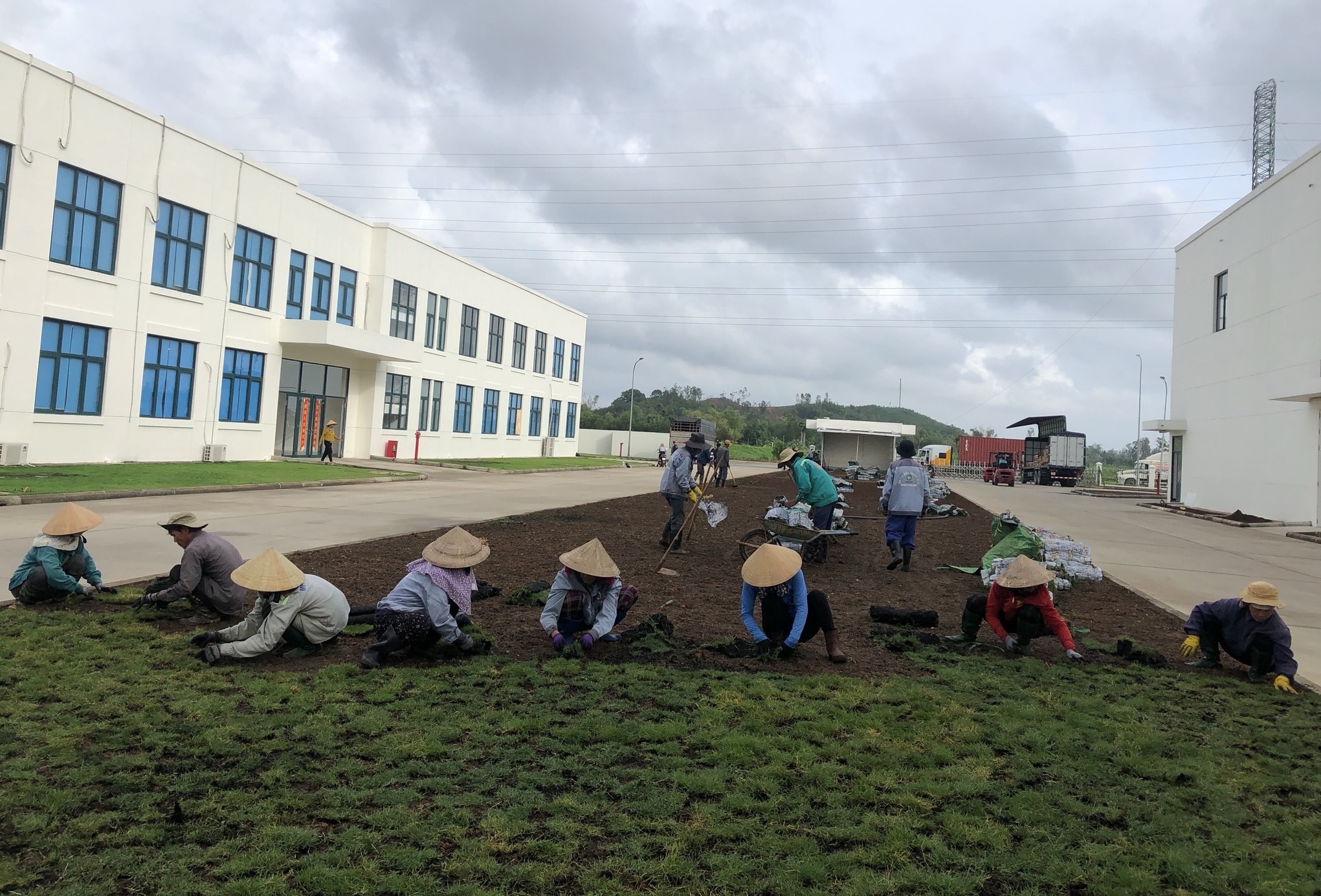 Thi công thảm cỏ nhung