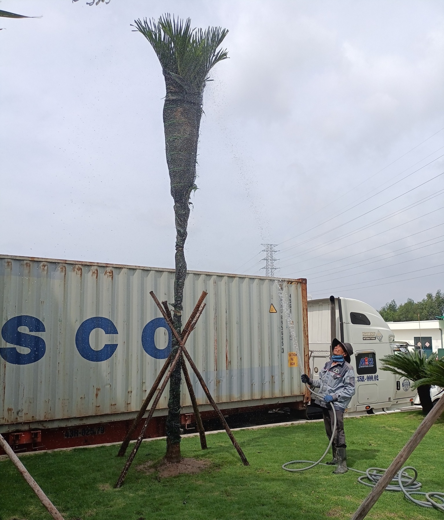 Theo dõi và chăm sóc cây trồng