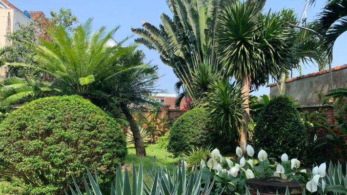 thi công tiểu cảnh sân vườn