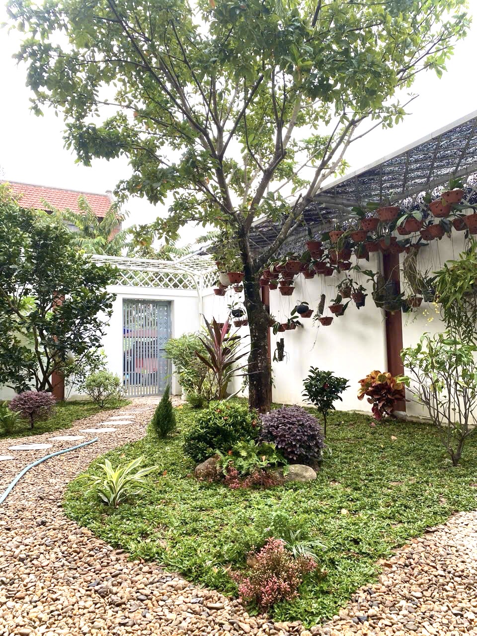 Thi công tiểu cảnh sân vườn nhà chị Hưng - Ngọc Bảo Viên