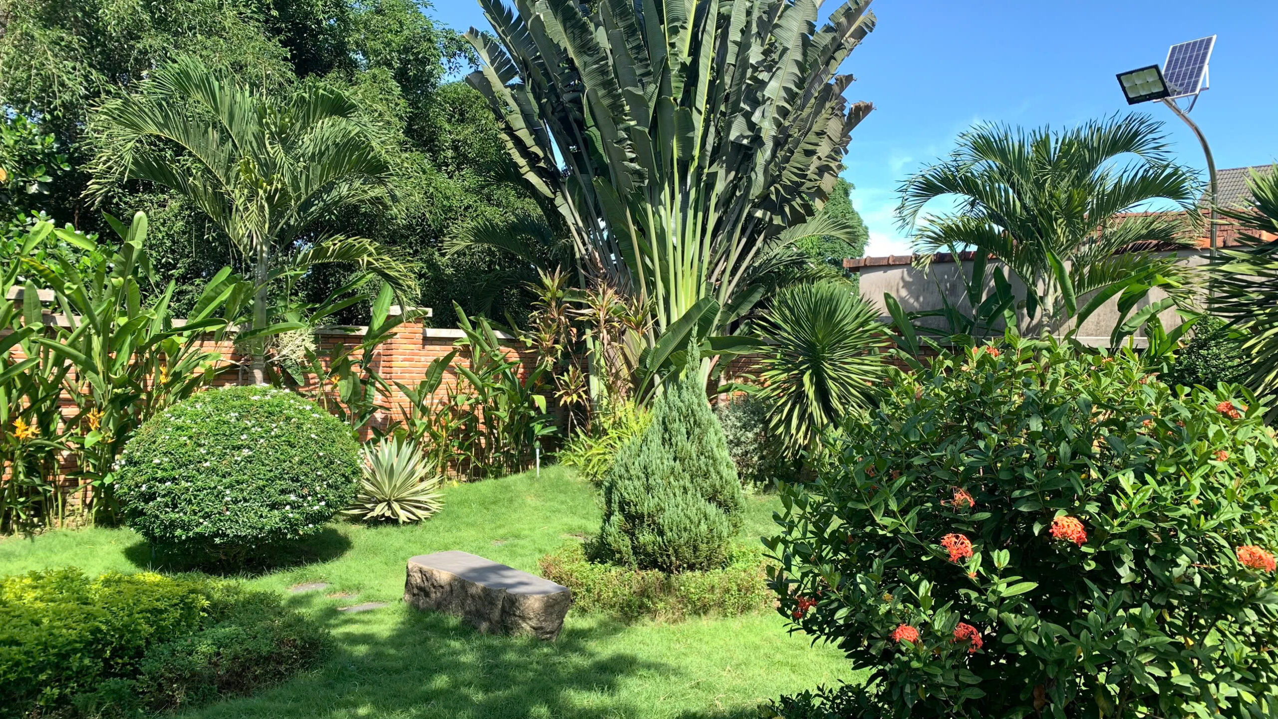 Trồng cây xanh & trải thảm cỏ