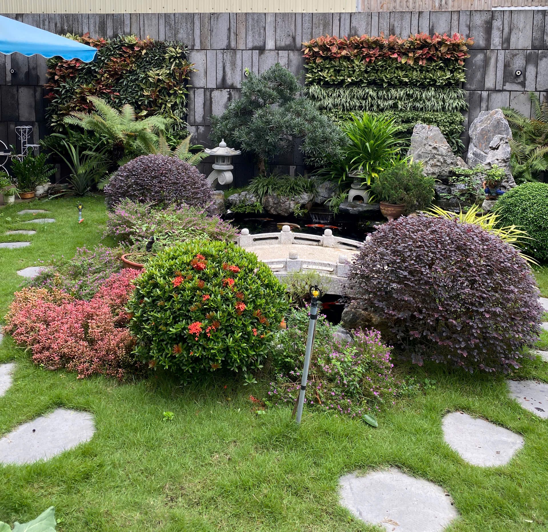 Bảo hành & bảo dưỡng tiểu cảnh sân vườn