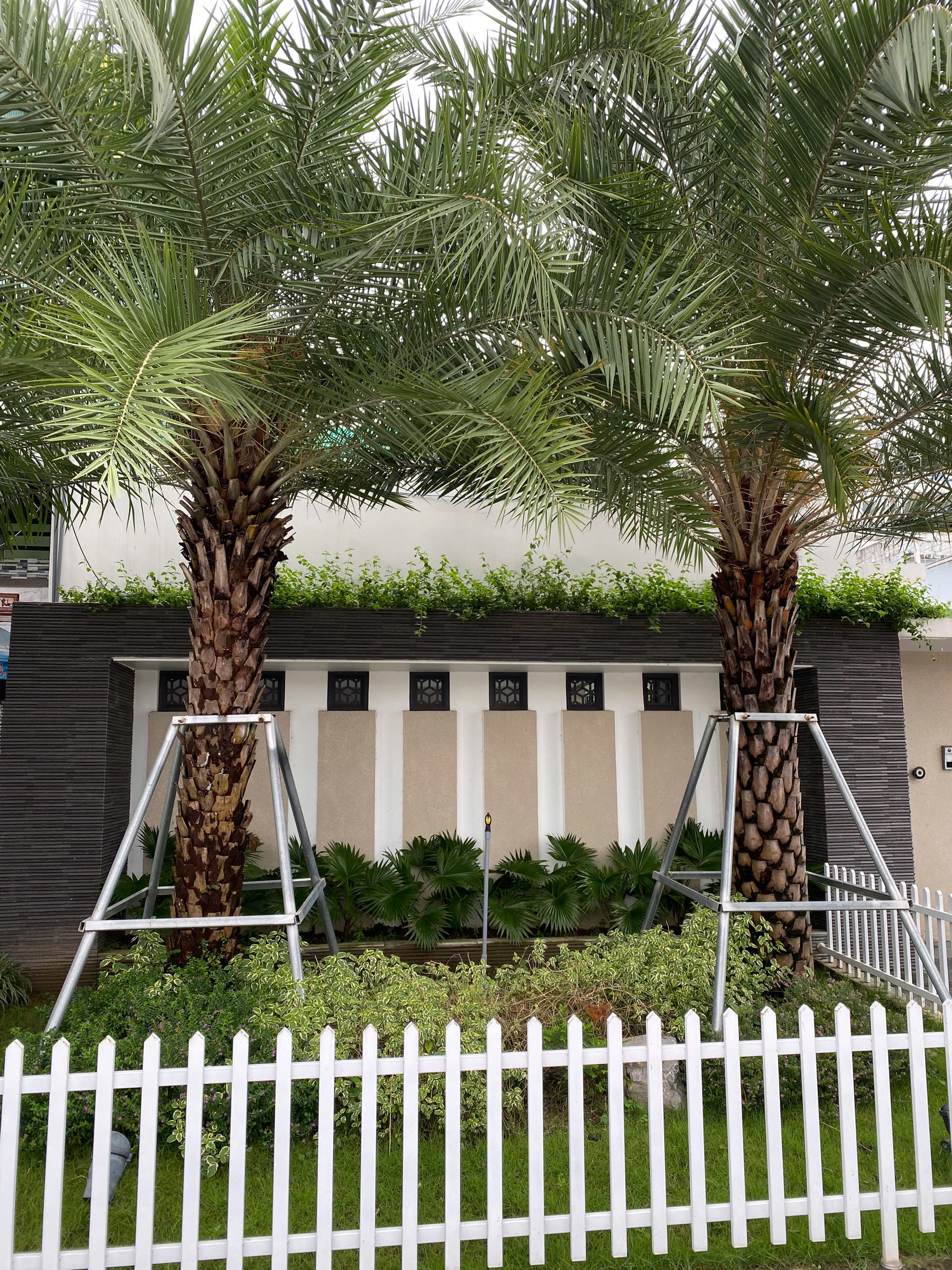 Lựa chọn vật liệu và cây xanh phù hợp cho từng công trình 