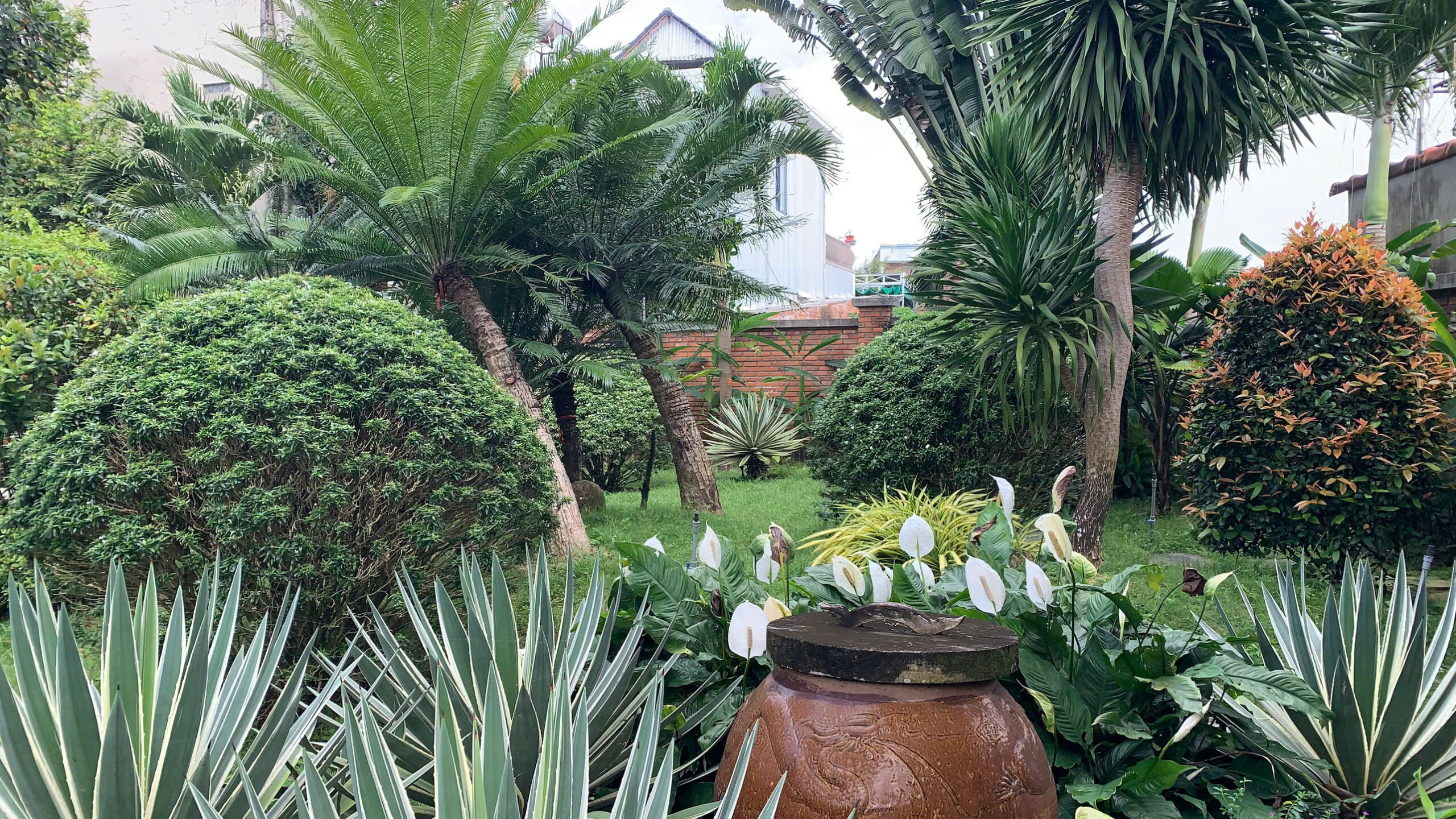 Thi công tiểu cảnh sân vườn giúp tạo không gian thư giãn, cải thiện sức khỏe tinh thần