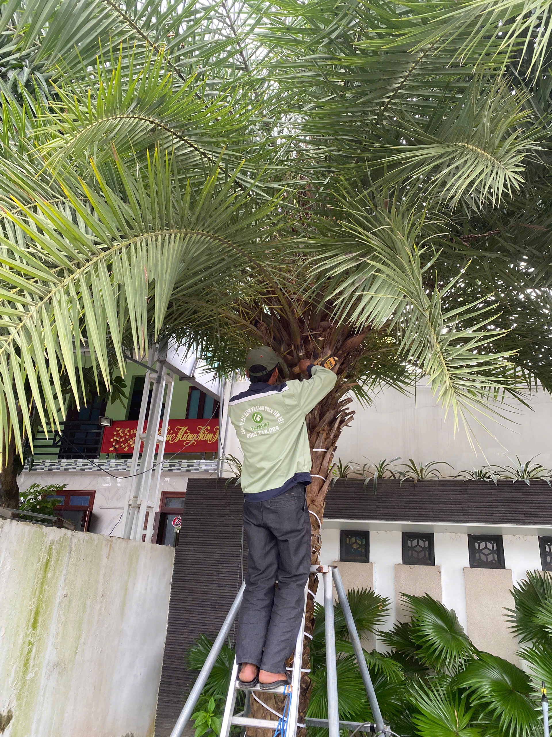 Đội ngũ thi công tiểu cảnh sân vườn