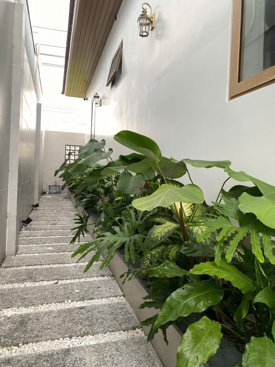 Thi công tiểu cảnh sân vườn nhà anh Vũ - Bình Long