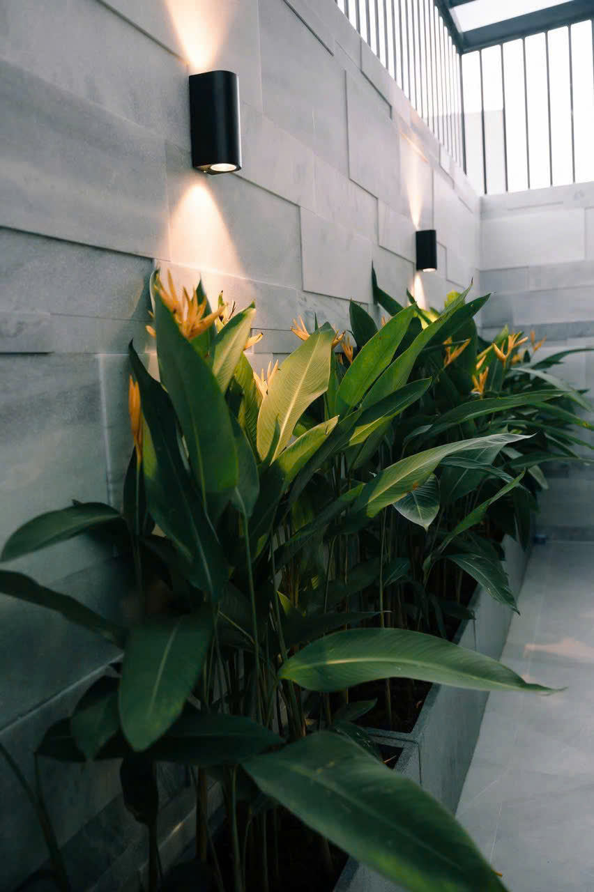 Thi công tiểu cảnh sân vườn nhà anh Vũ - Bình Long